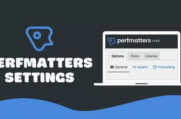 Perfmatters Pro