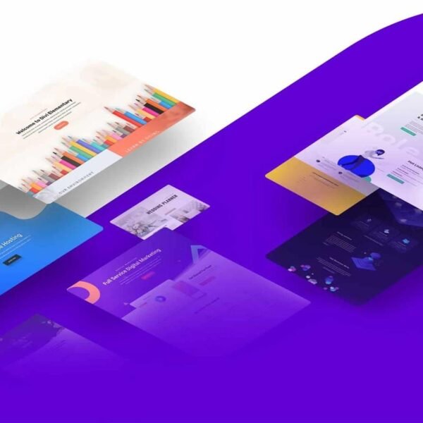 Divi theme